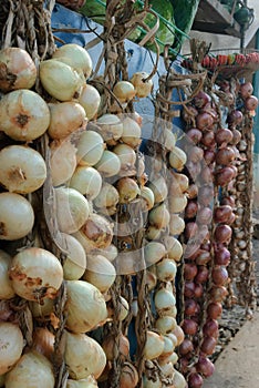 Verticalshot of onions in the market