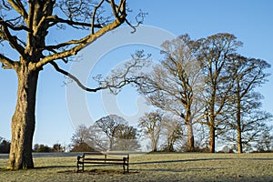 Verulamium Park in St. Albans