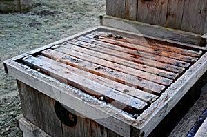 Very bad winter, a lot of hives this winter and died. frozen honeycombs and hives covered with hoarfrost. The beehives in the gard