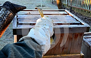 Very bad winter, a lot of hives this winter and died. frozen honeycombs and hives covered with hoarfrost. The beehives in the gard