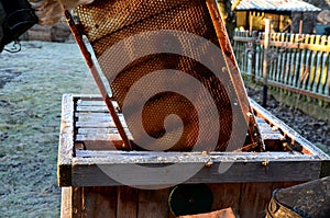 Very bad winter, a lot of hives this winter and died. frozen honeycombs and hives covered with hoarfrost. The beehives in the gard