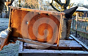 Very bad winter, a lot of hives this winter and died. frozen honeycombs and hives covered with hoarfrost. The beehives in the gard