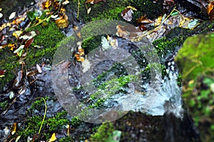 Very beautiful artificial waterfalls with living water and growing moss. Water flows from above