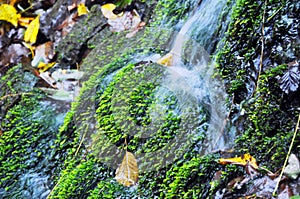 Very beautiful artificial waterfalls with living water and growing moss. Water flows from above