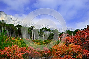 A very beautiful autumn landscape: forest, mountains, clouds. Mountain Shaan-kaya, the city of Alupka, CrimeaFor cards, calendars