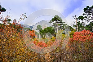 A very beautiful autumn landscape: forest, mountains, clouds. Mountain Shaan-kaya, the city of Alupka, CrimeaFor cards, calendars