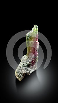 VERY BEAUTIFUL BI COLOR WATERMELON TOURMALINE WITH ALBITE SPECIMEN FORM AFGHANSITAN photo