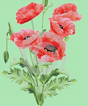 Very beautiful drawing of red poppies, grunge background, suitable for the background, abstraction photo