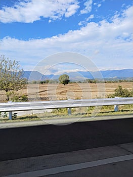 A very beautiful expance of rice fields