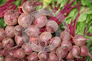 Very beautiful, freshly harvested beetroot in the weekly market