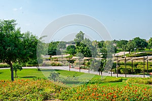 very beautiful green azone in Dubai Zoo