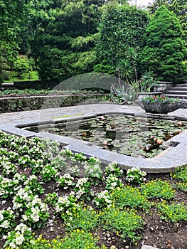 Very Beautiful green garden in Villa Taranto in Italy