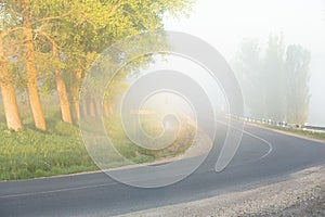 Very beautiful landscape with fog and green nature in the Republic of Moldova. Rural nature in Eastern Europe