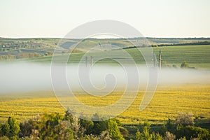 Very beautiful landscape with fog and green nature in the Republic of Moldova. Rural nature in Eastern Europe