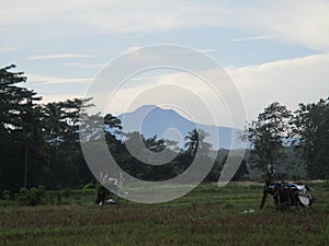 Very beautiful mountain view from a distance of 3 hours drive