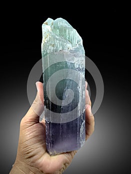 Very Beautiful Multi color Blue green hiddenite var spodumene kunzite crystal from Afghaistan photo