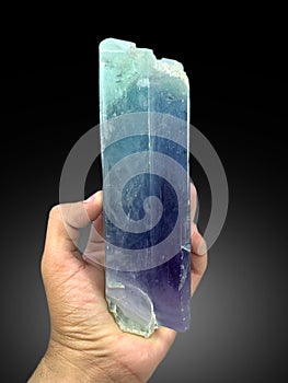 Very Beautiful Multi color Blue green hiddenite var spodumene kunzite crystal from Afghaistan photo