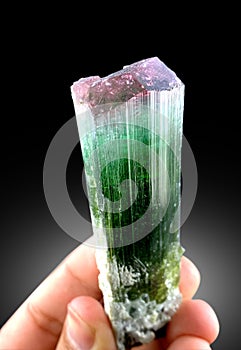 Very Beautiful Multi colour tourmaline var Elbaite Crystal Mineral specimen from Afghanistan