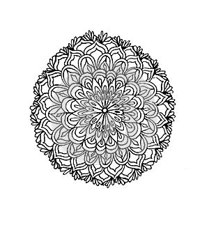 Very beautiful and multi-element flower.