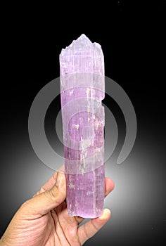 very beautiful pink lilac colour kunzite var spodumene crystal mineral specimen from Afghanistan photo