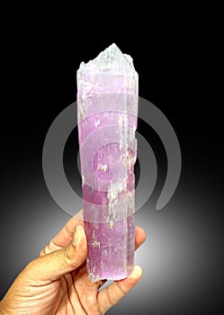 very beautiful pink lilac colour kunzite var spodumene crystal mineral specimen from Afghanistan photo