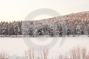 Very beautiful snow-covered forest at sunset. Frosty winter day.