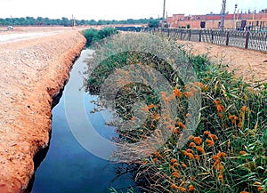 Very beautiful view of Contour trenching in oasis