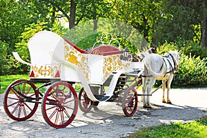 Very beautiful white cart in the park Oleksandriya, Bila Tserkva, Kyiv region, Ukraine