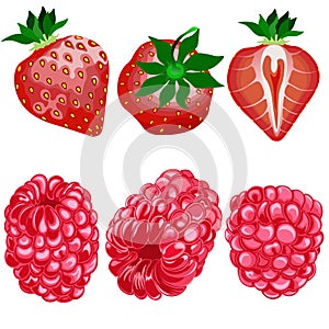 Very berry. Raspberry and strawberry , clipart ,isolated on white background.