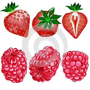 Very berry. Raspberry and strawberry , clipart ,isolated on white background, vector.