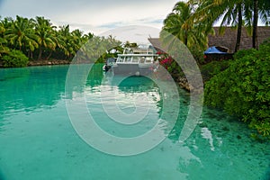 a very blue and clear river with palm trees surrounding it