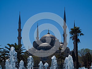 Very Blue Mosque photo