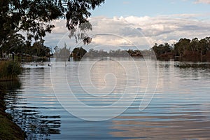 A very calm river murray with ripples and reflections located in the river land at Berri South Australia on 20th June 2020