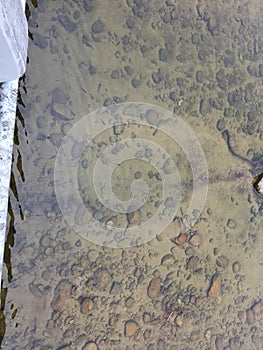 very clear fresh water in river can see rocks and soil surface in basin under water from riverbank