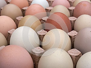 Very close-up photography of some assorted color free-range eggs 2