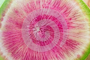 Very close view of the interior of a brilliant magenta watermelon radish, food background texture