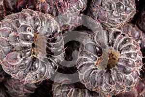 Very close wild raspberry pattern ready to eat ripe fruits