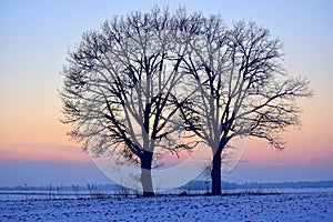 Very cold February afternoon in Lithuania