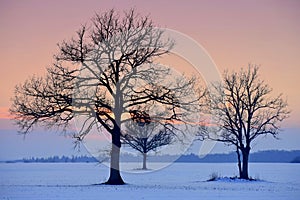 Very cold february afternoon in Lithuania