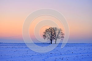 Very cold february afternoon in Lithuania