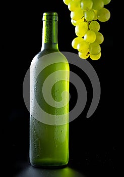 Very cold white wine bottle with bunch of white grapes with black background - image