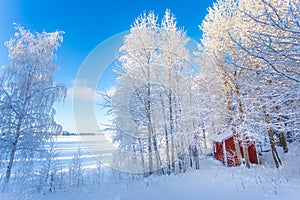 Very cold winter day scenery from Sotkamo, Finland.