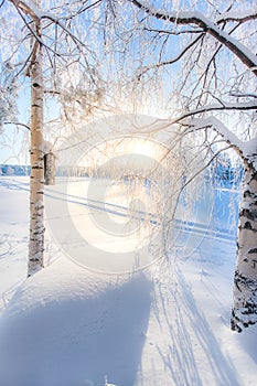 Very cold winter day scenery from Sotkamo, Finland.