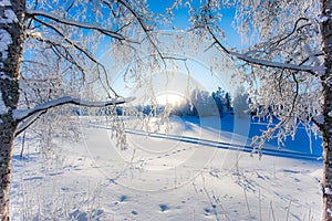 Very cold winter day scenery from Sotkamo, Finland.