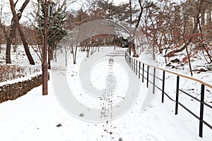 very cold winter in kyung hee Park Seoul south korea