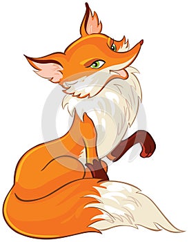 Very cute fox cartoon photo