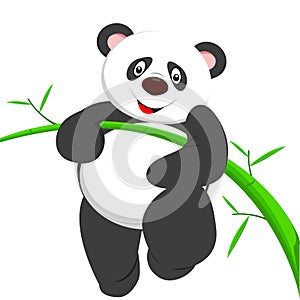 Very cute panda climbing bamboe