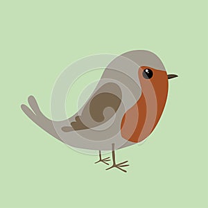 Cute robin comic illustration