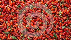 A very dense pattern of hyperrealistic and photographic Gojiberries