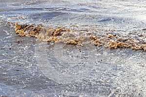 Very disgusting beach water with red seaweed sargazo Carribean Mexico